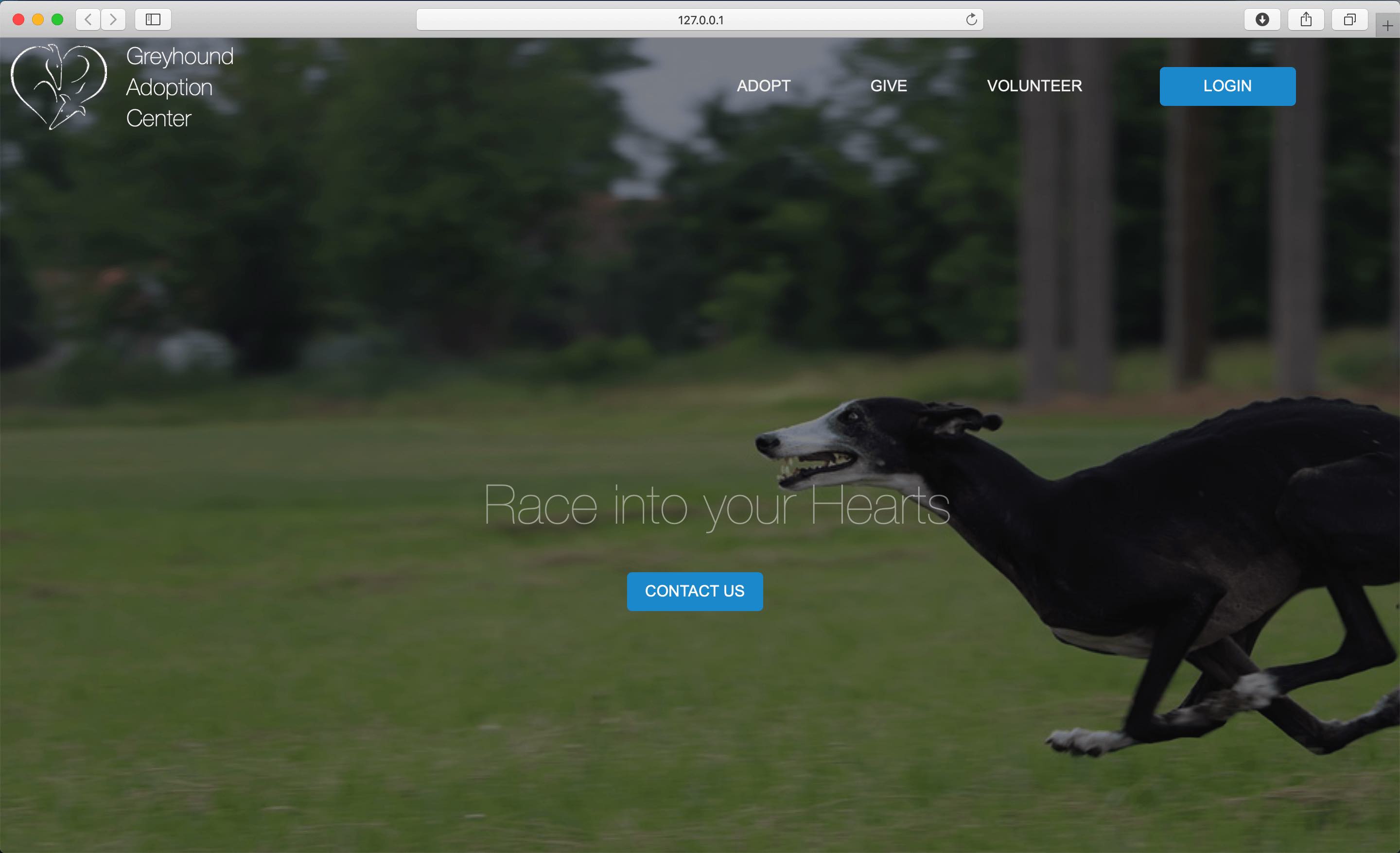 Home Screen of Re-designed Site
